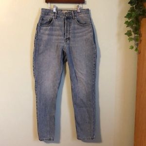Everlane the Curvy 90s Cheeky Straight Jean Organic Cotten Size 28 Regular